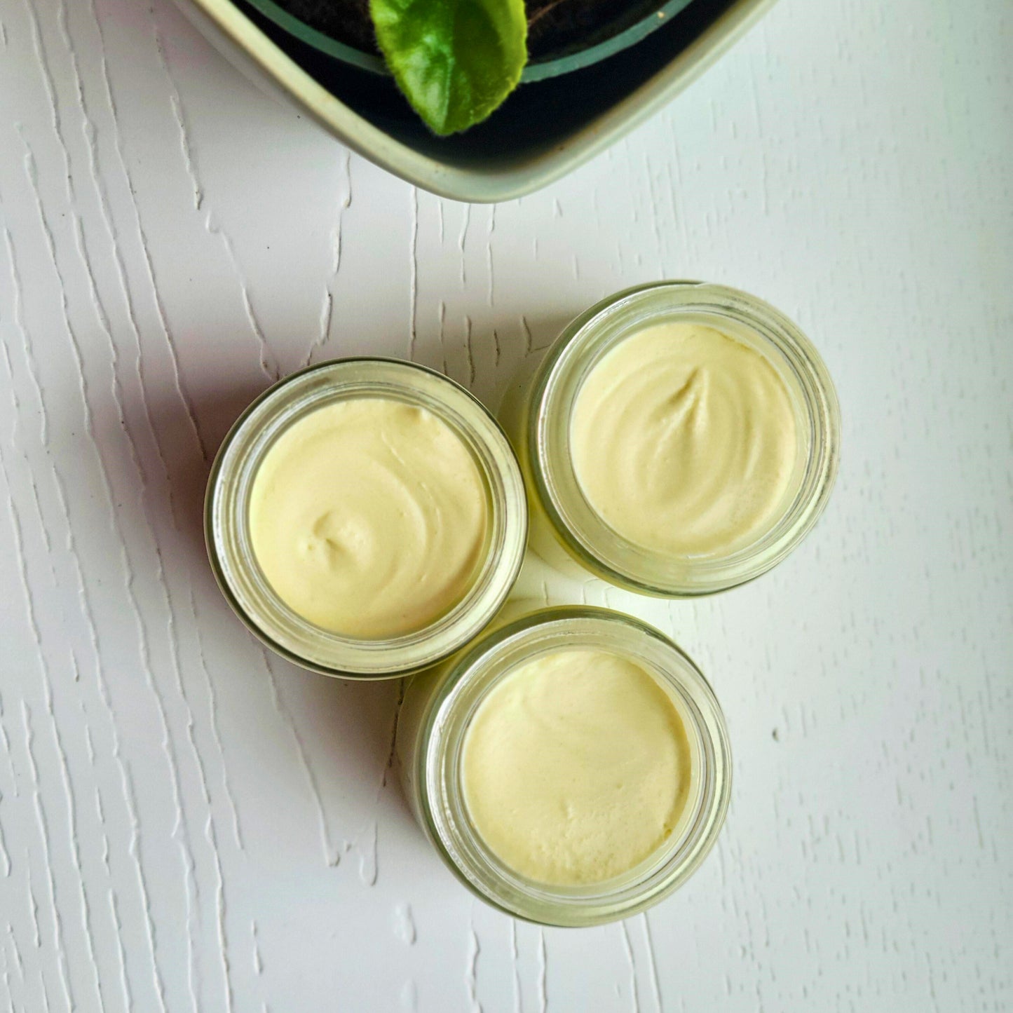 FRESH CITRUS BODY CREAM