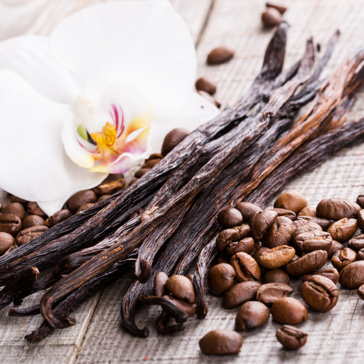 VANILLA & COFFEE BEAN TALLOW LOTION