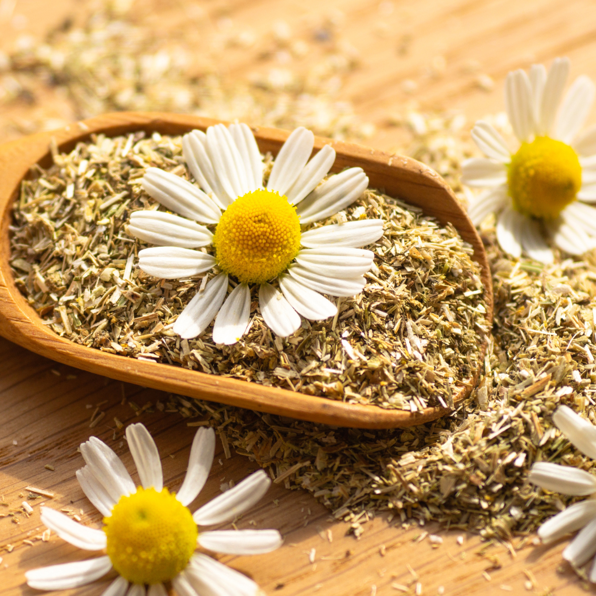 NEED TO UNWIND? Chamomile Tincture